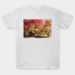 Autumn Landscape4 T-Shirt